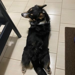 Meet your Posher, Joseph michael